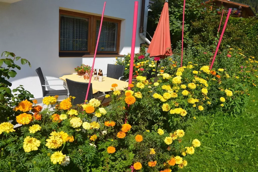 81818-Nicht zugeordnet