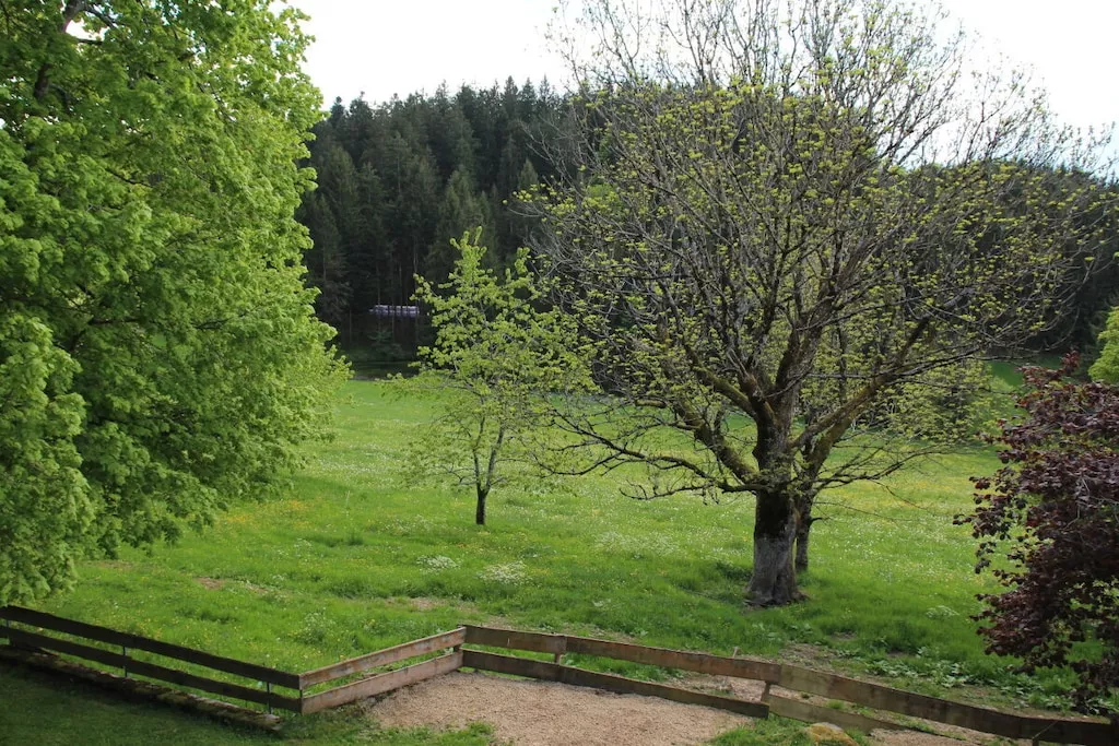 620952-Nicht zugeordnet