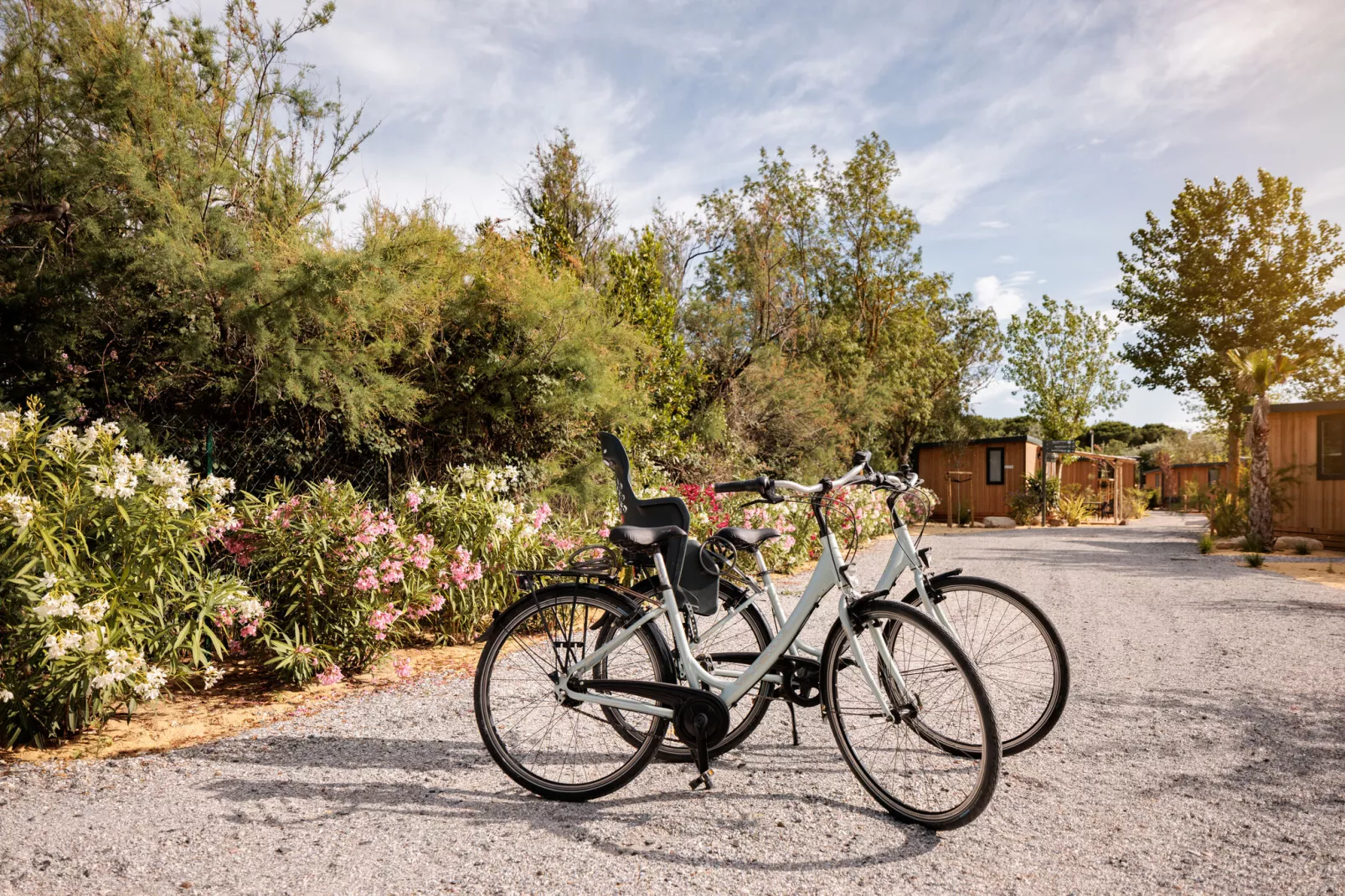 Beach Resort Agde 4-Park facilities