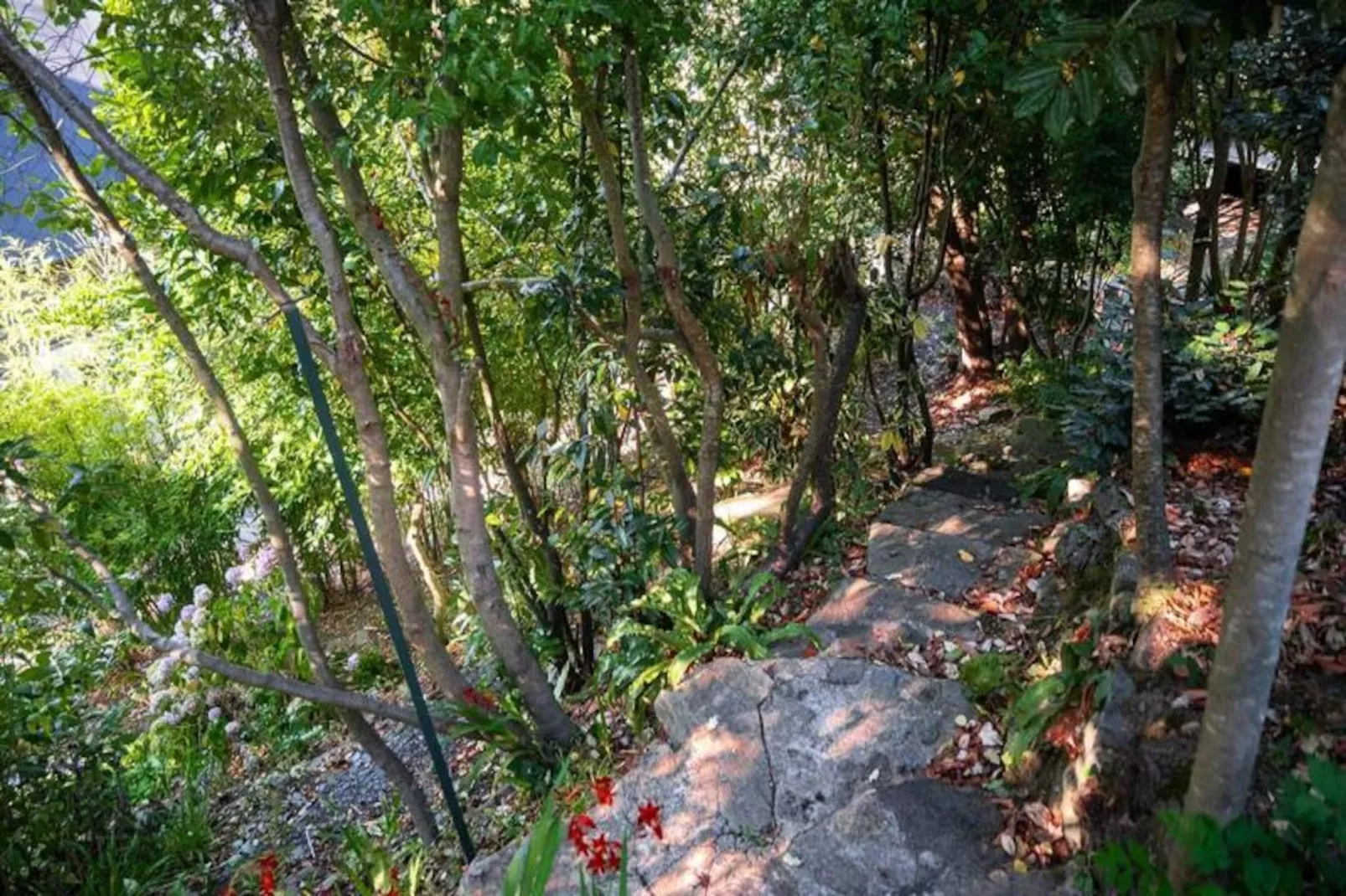 Maison à Lannion-Image-tags.