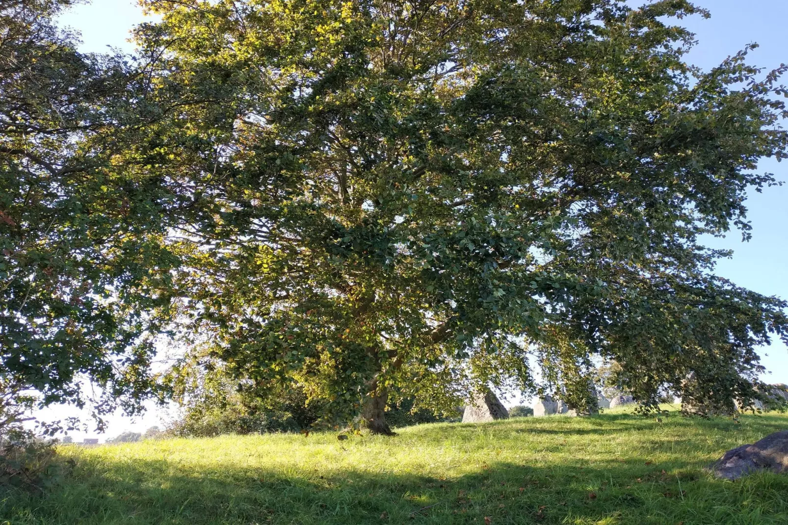 6 person holiday home in Grevinge-By Traum-Untagged