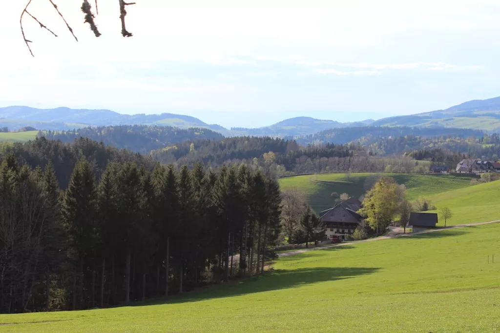 620952-Nicht zugeordnet