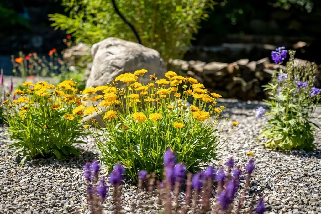 217173-Nicht zugeordnet