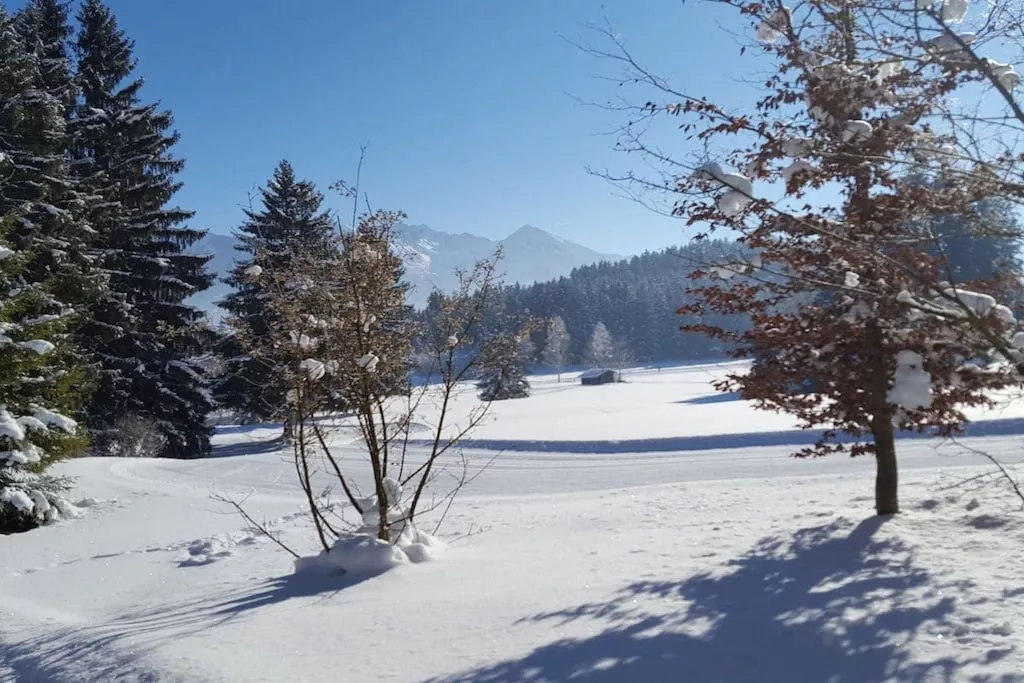 270565-Nicht zugeordnet