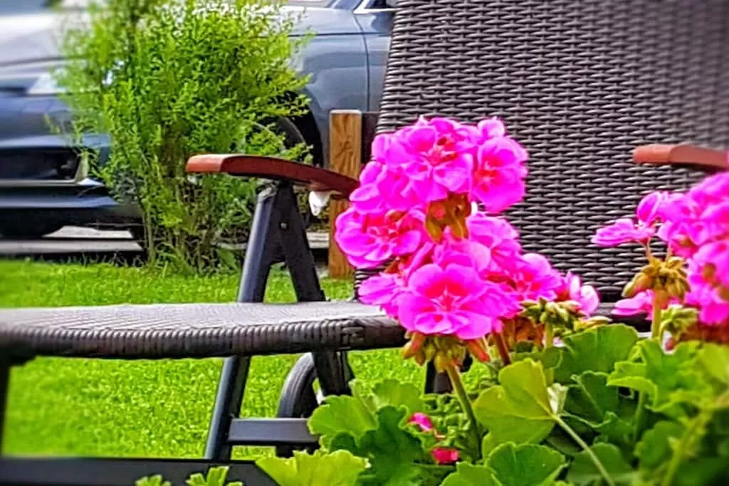 218678-Nicht zugeordnet