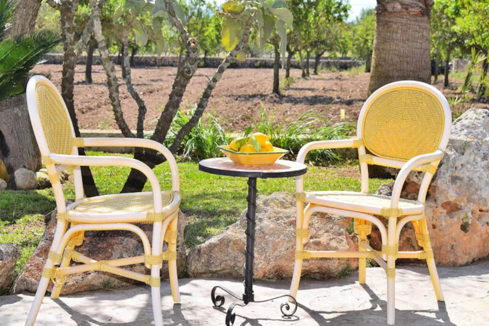 Maison à Santa Margalida-Image-tags.