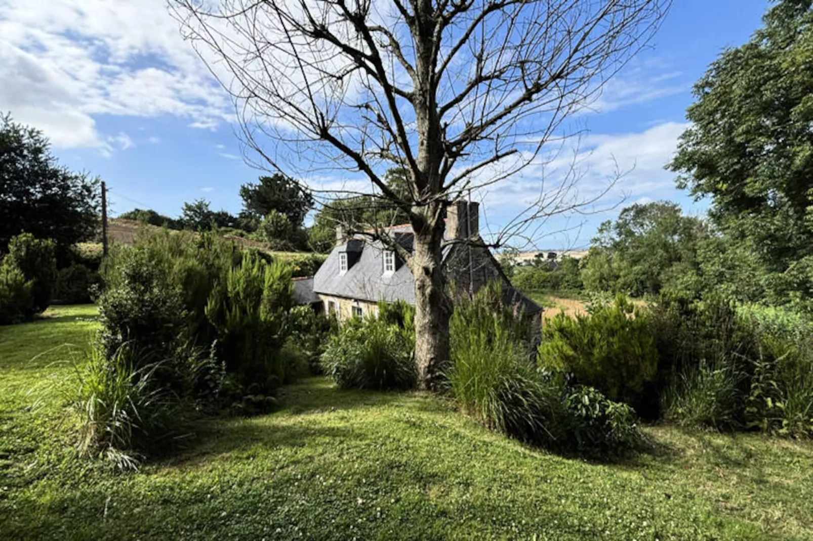 Maison à Plougrescant-Image-tags.