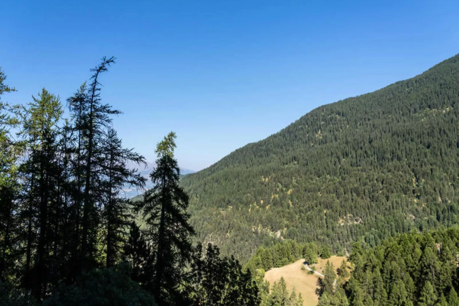 Résidence Le Belvedere - View in summer