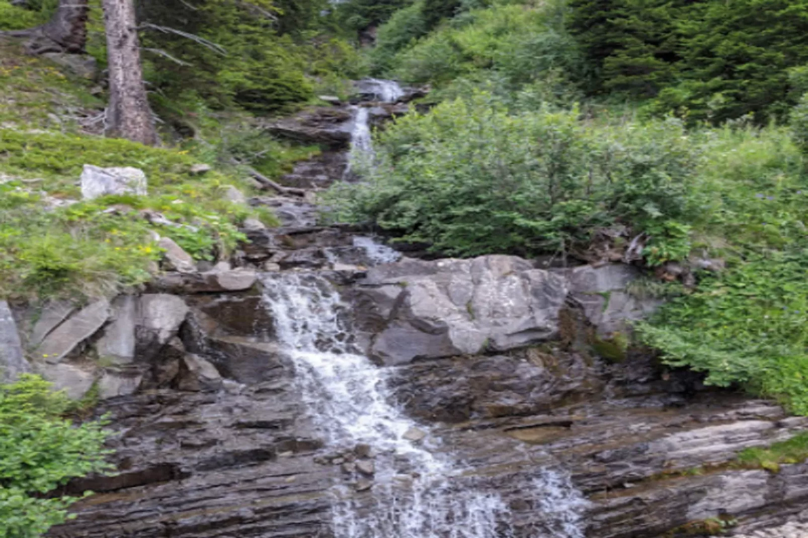 Résidence L'Albane - maeva Home - Extérieur été