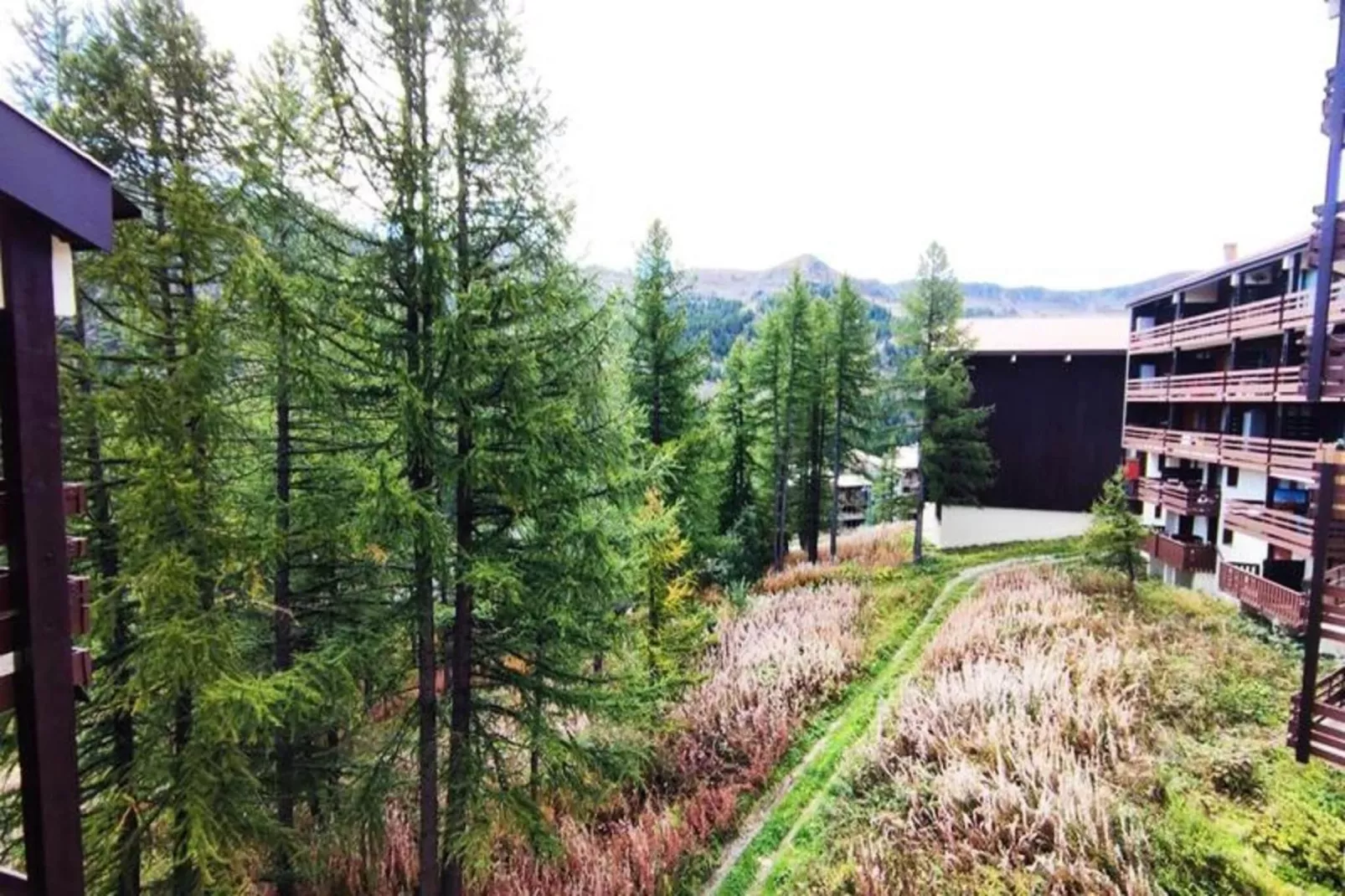 Résidence Primeveres 504-Außenbereich Sommer