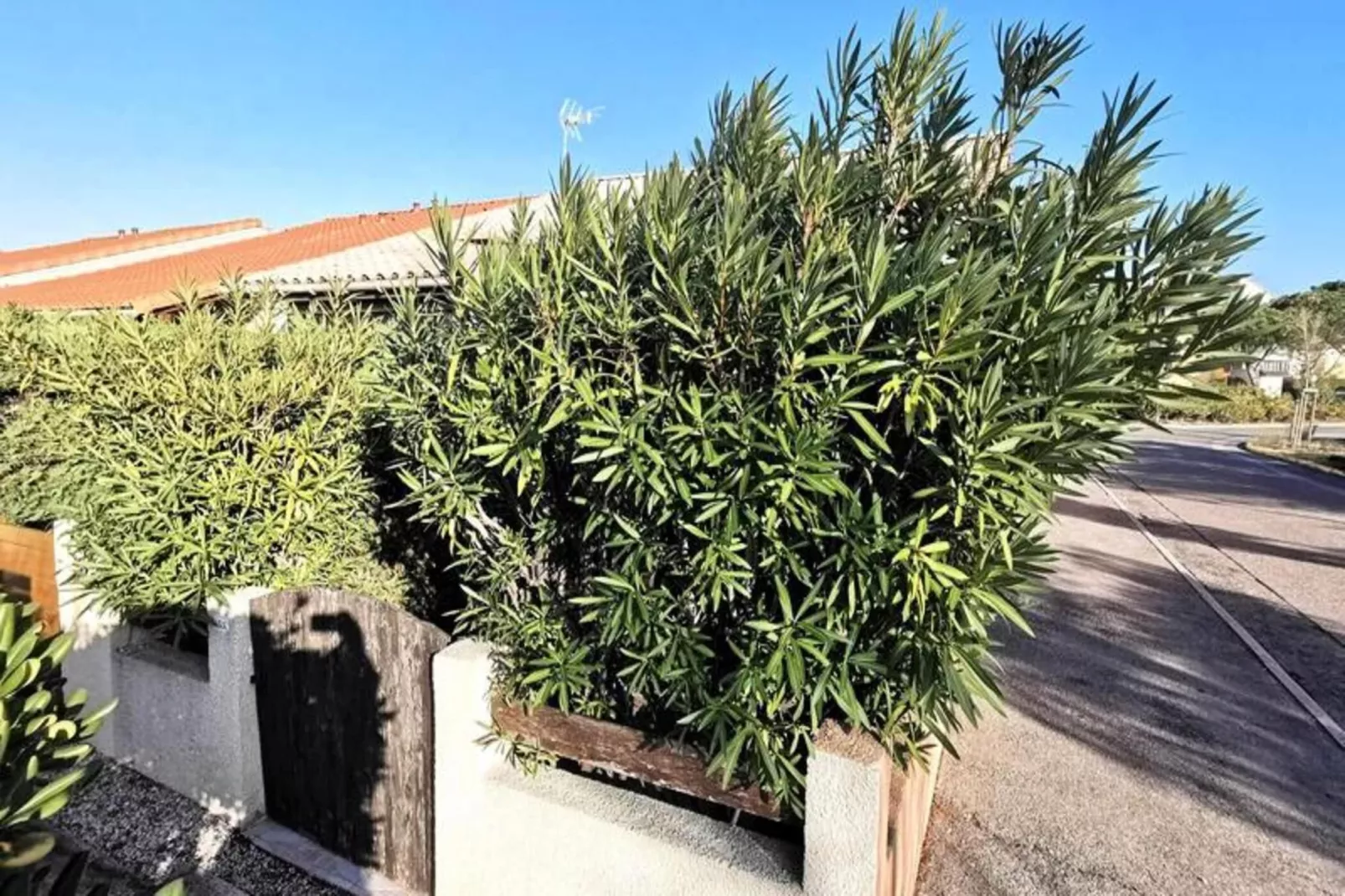 Résidence Maisons De La Plage-Exterior in summer