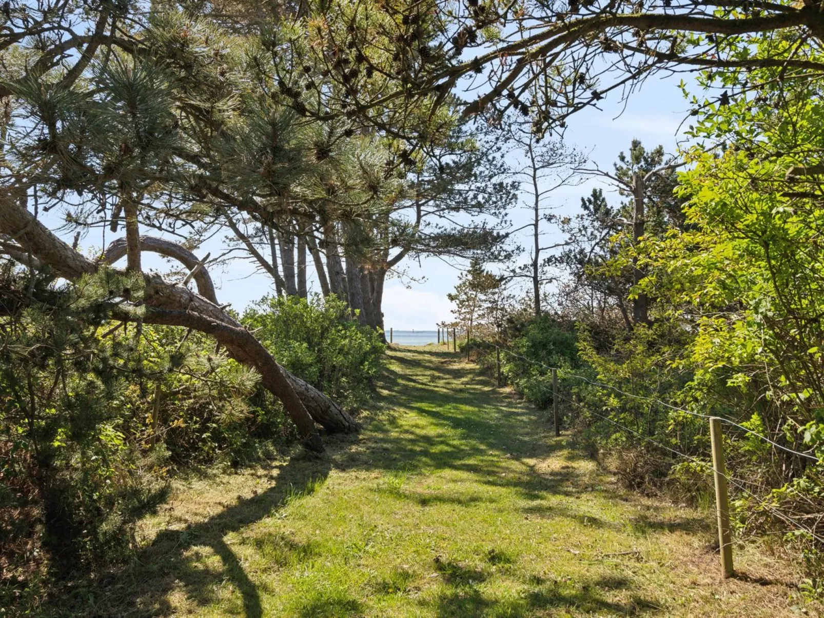 "Cathalina" - 75m from the sea-Outside