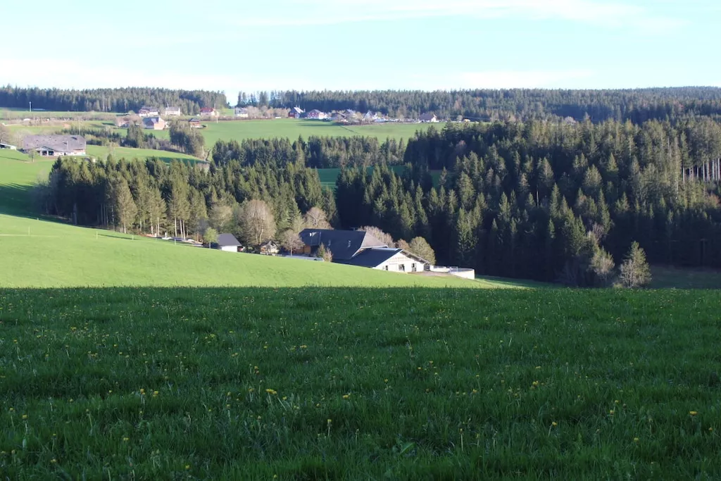 620952-Nicht zugeordnet