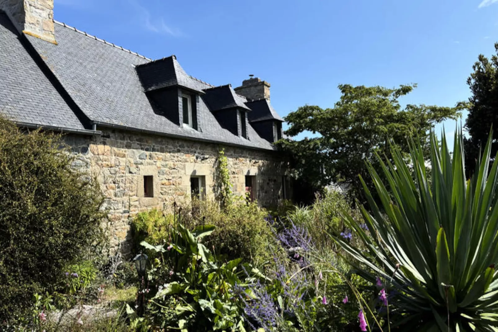 Maison à Plougrescant-Image-tags.