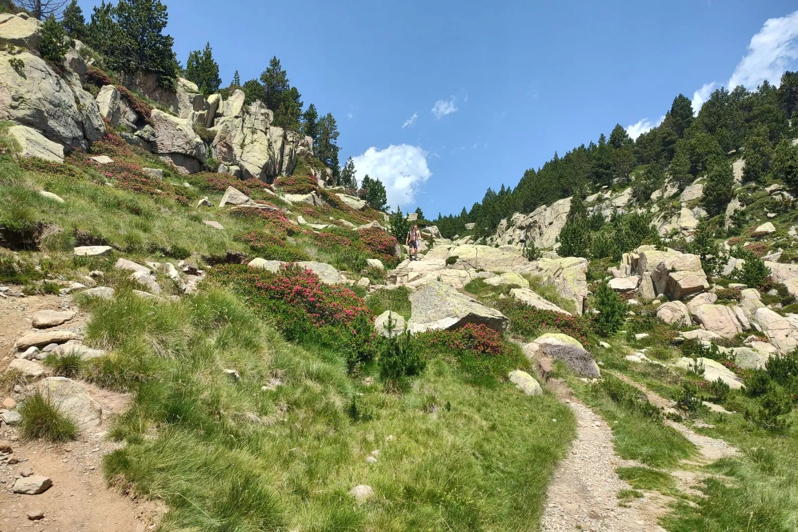 Chalet Panoramique-Areas summer 20km