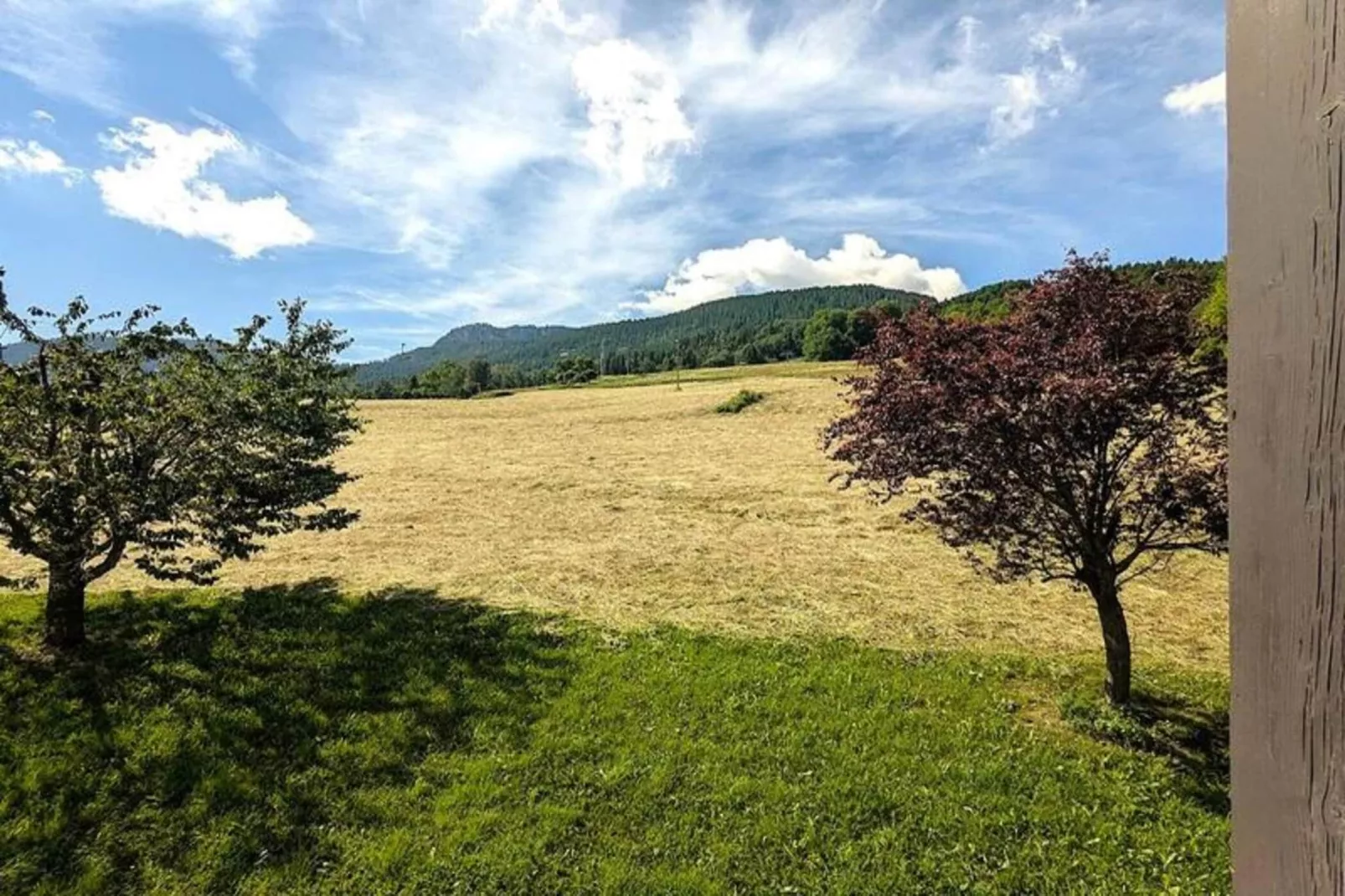 Résidence Les Prés - View in summer