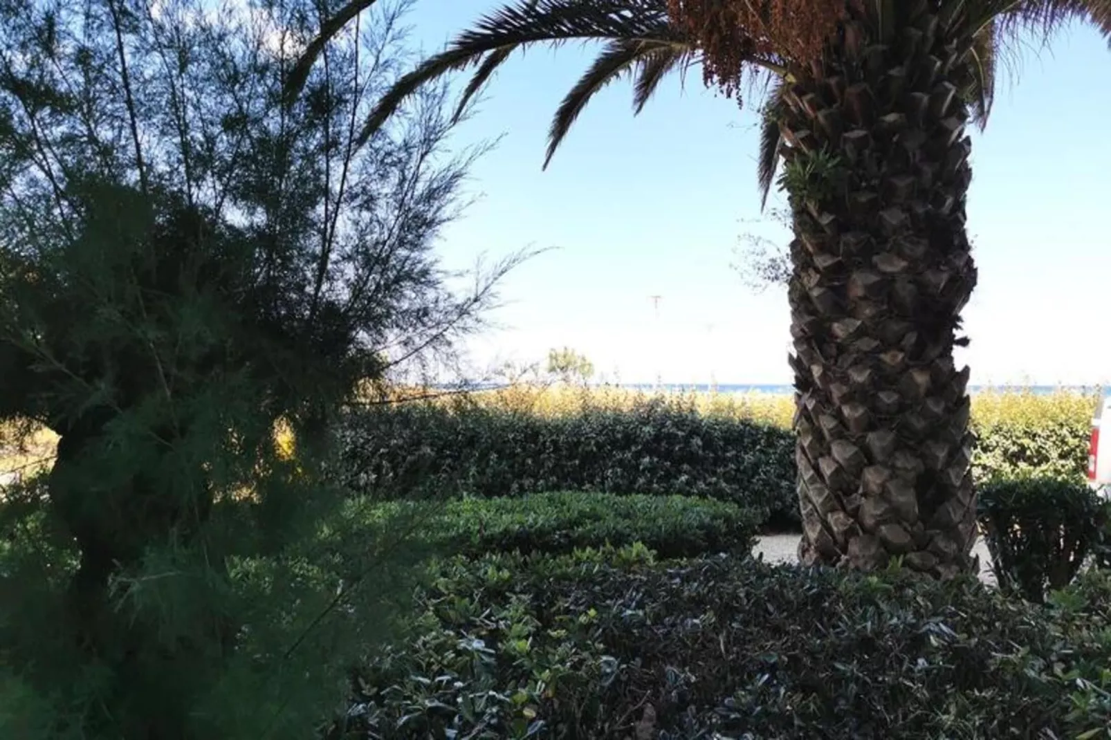 Résidence Les Cyclades-Zones été à 1 km