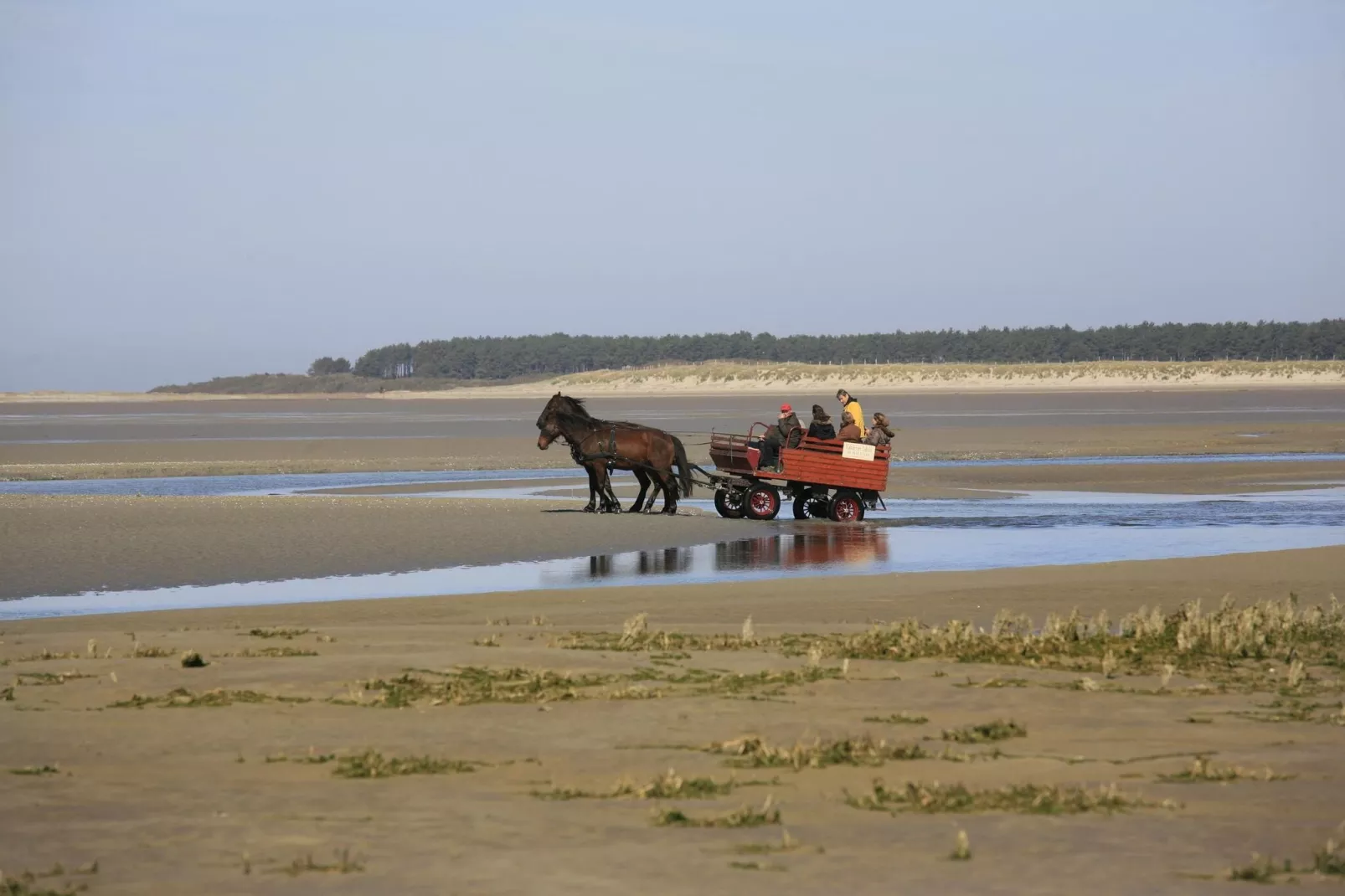 Ferienwohnung in Cayeux-sur-Mer 1 Etage-Areas summer 20km