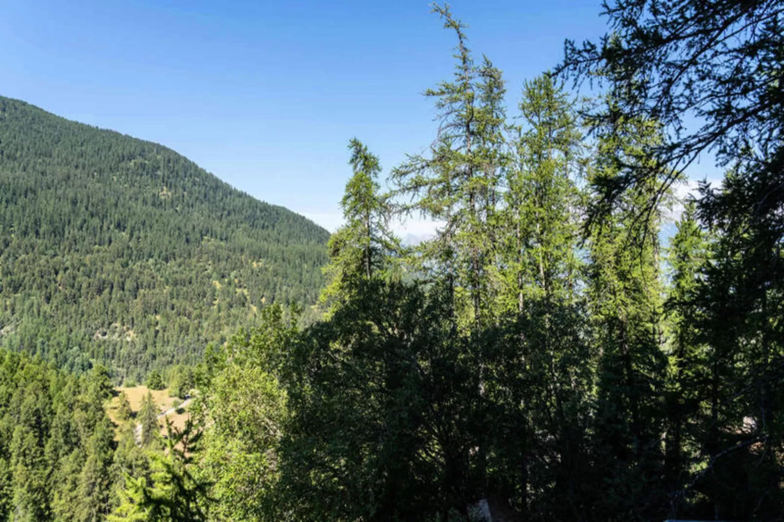 Résidence Le Belvedere - View in summer