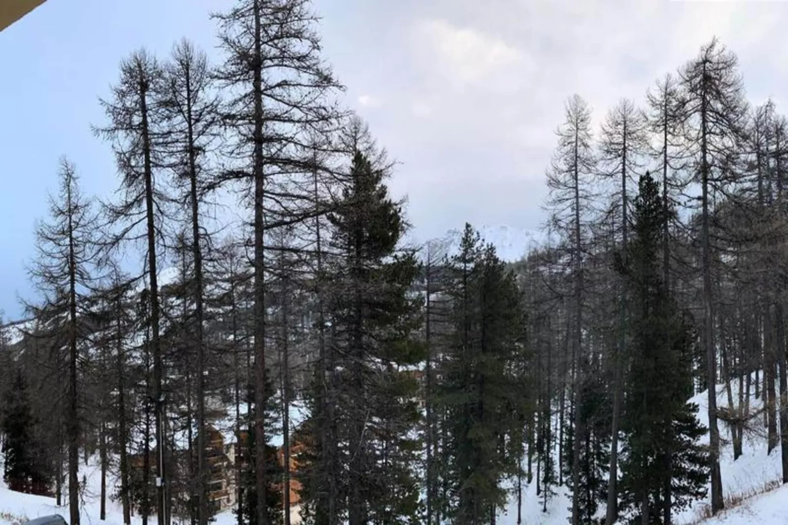 Résidence Pastourlet - Area within 1km in winter