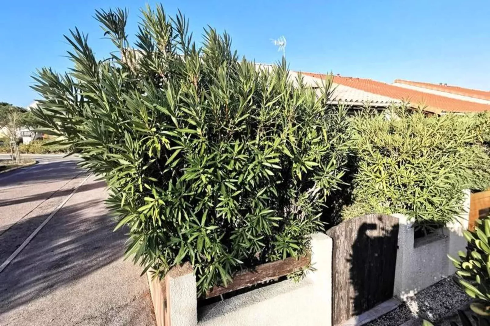 Résidence Maisons De La Plage-Exterior in summer