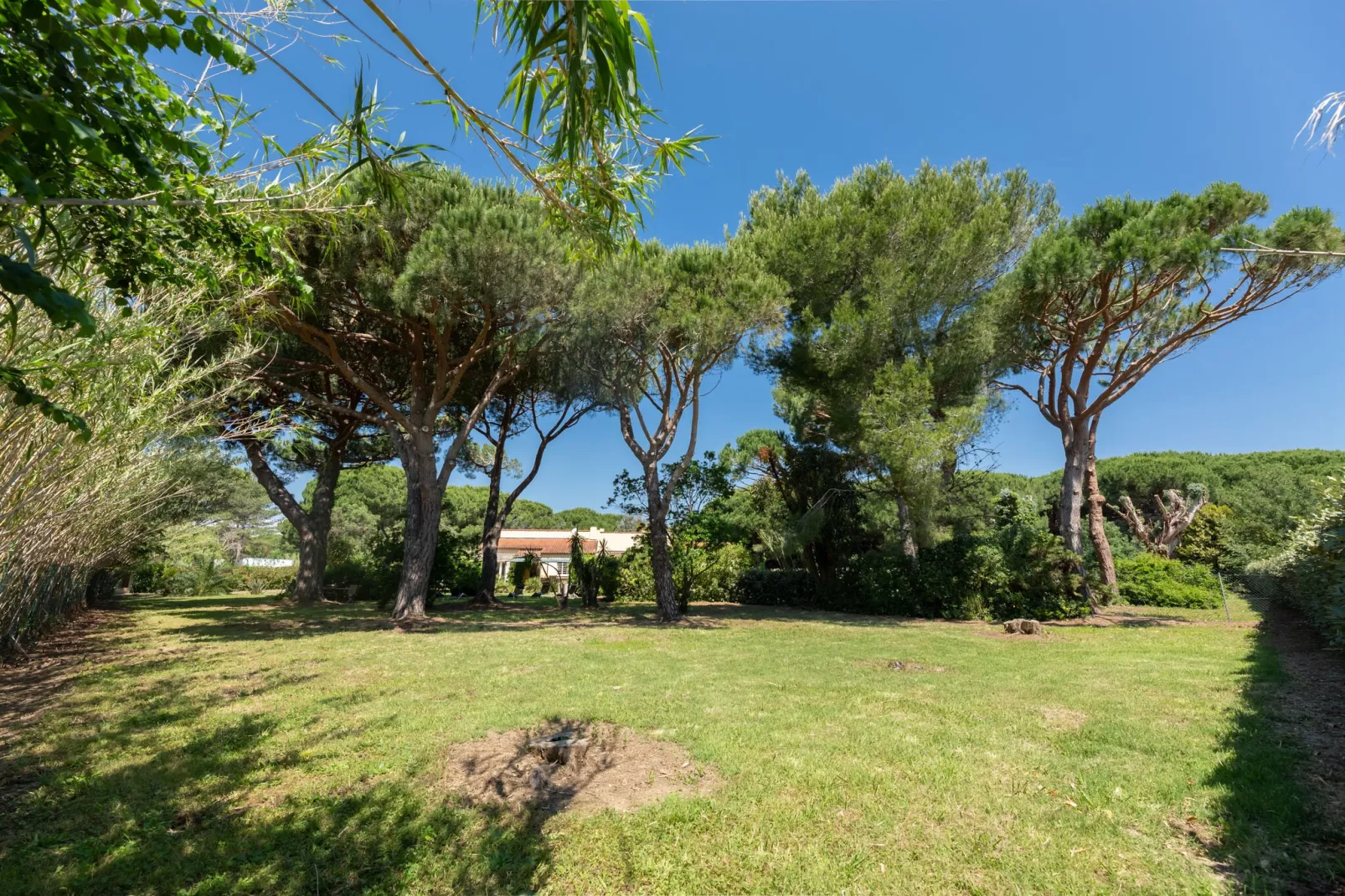 Romarins-Gardens summer