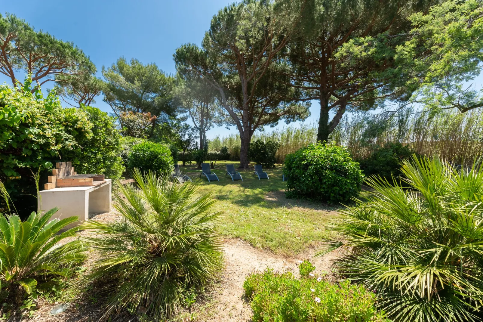 Romarins-Gardens summer