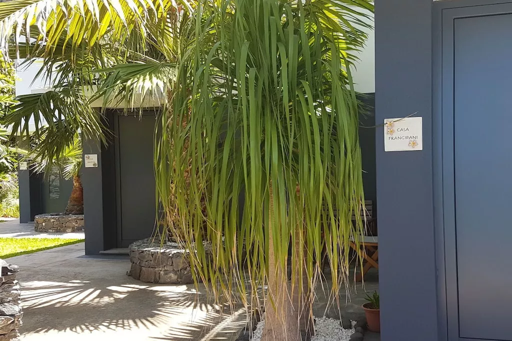 74911-Nicht zugeordnet