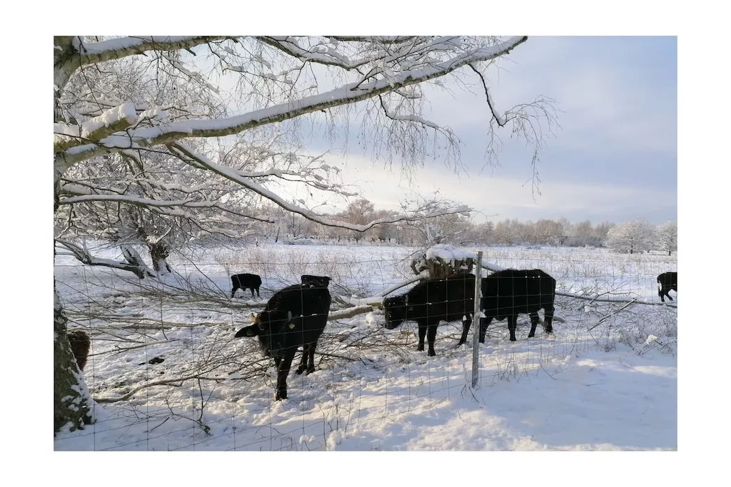 631860-Nicht zugeordnet