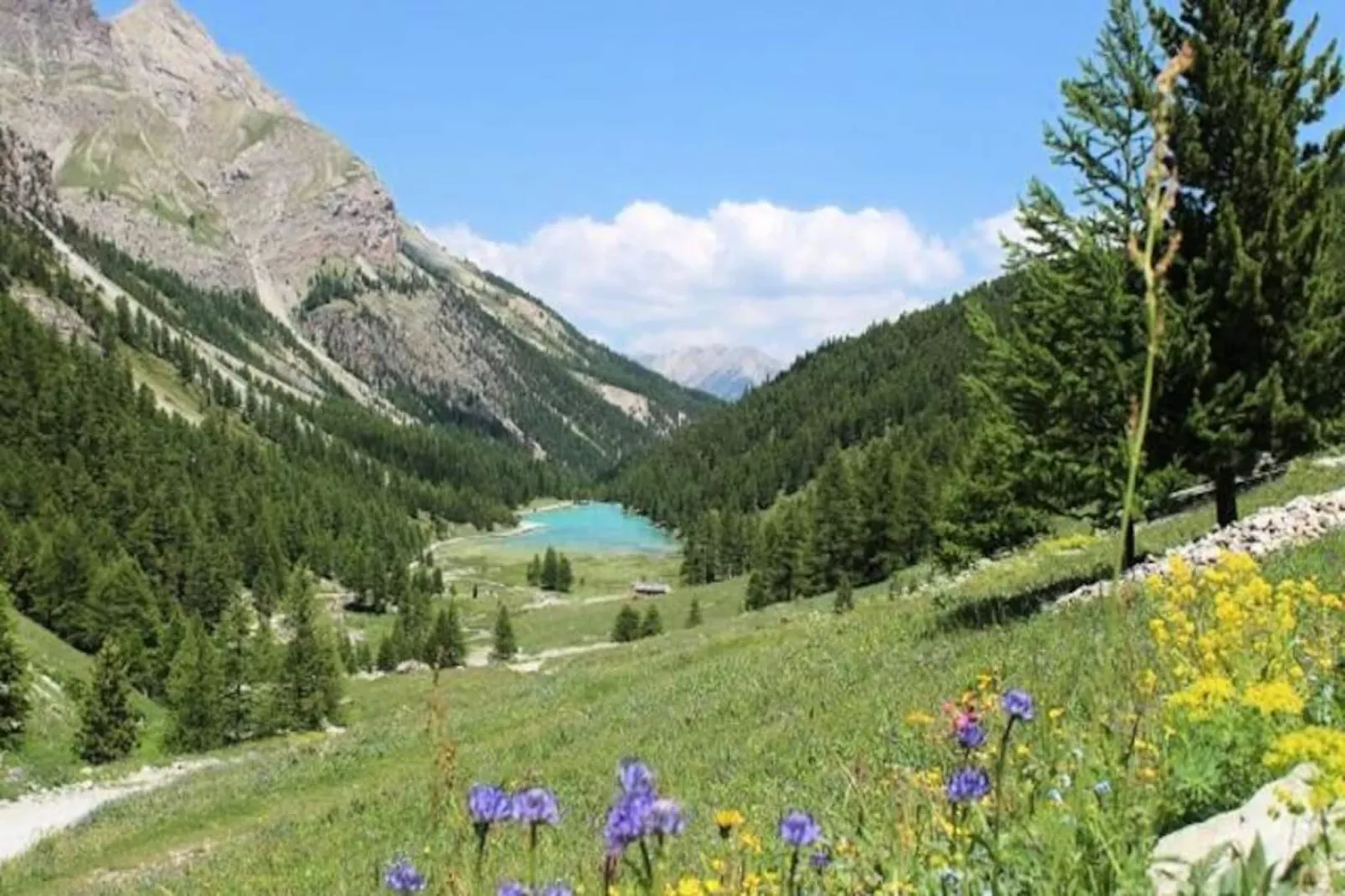Résidence Rond-point-pistes I