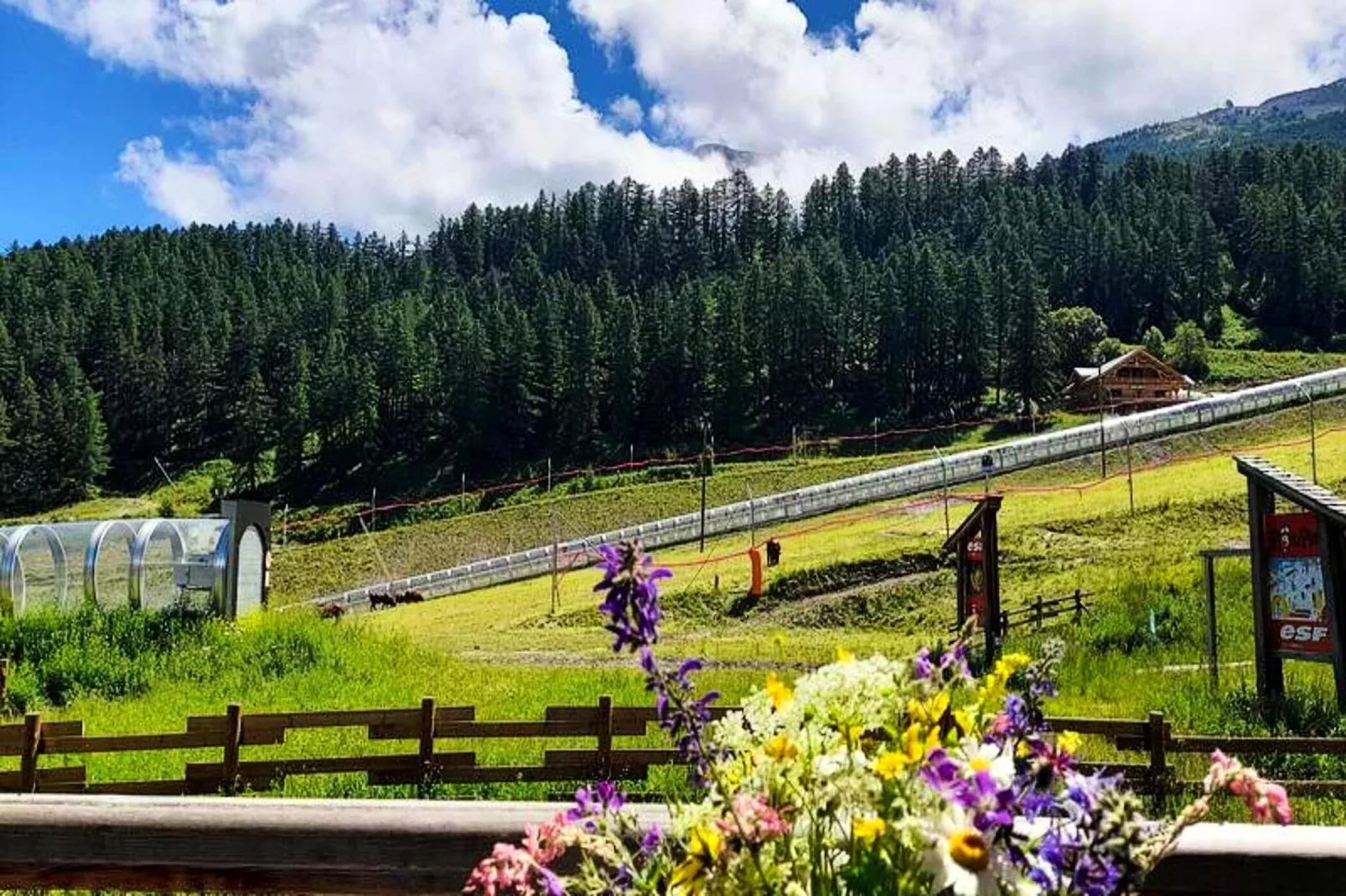 Résidence Le Parc Des Airelles - Gebiete Sommer 1 km
