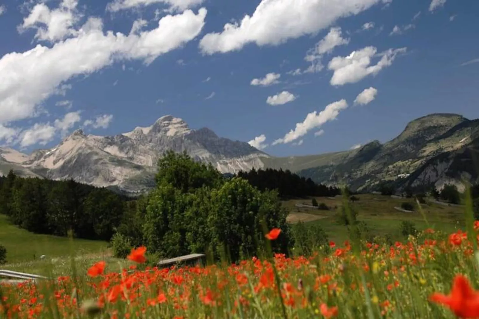 Résidence Odalys l'Orée des Pistes****-Image-tags.