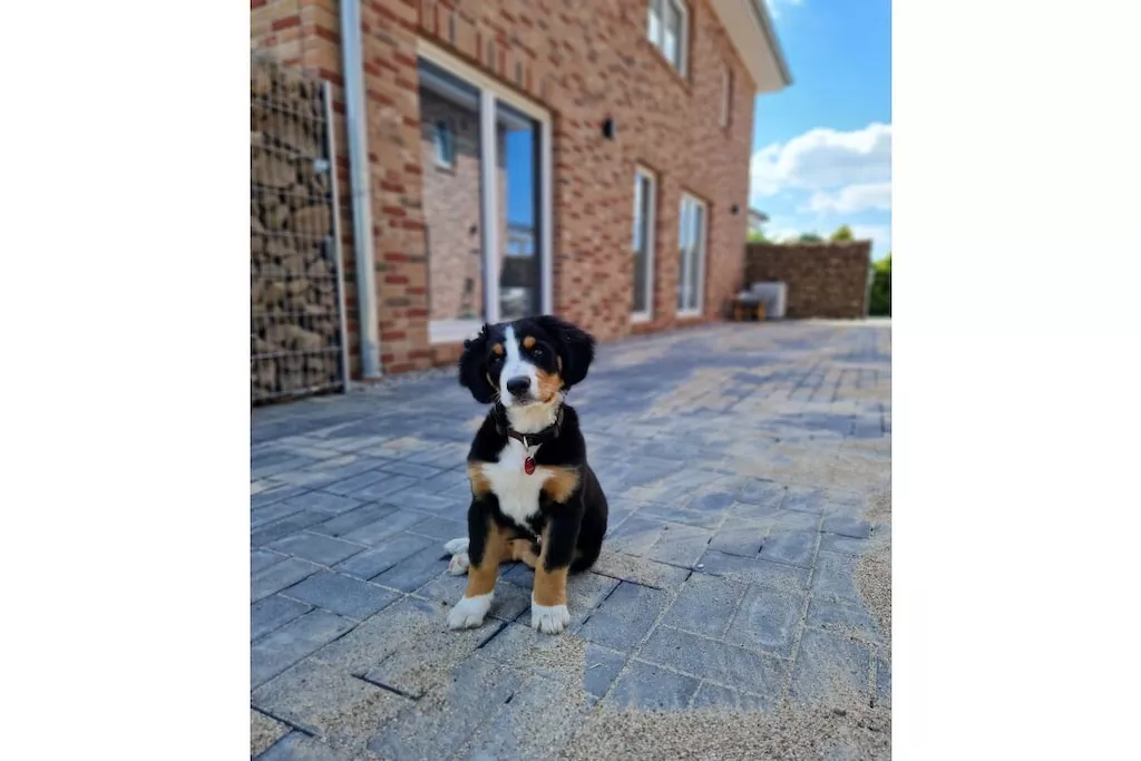 485583-Nicht zugeordnet