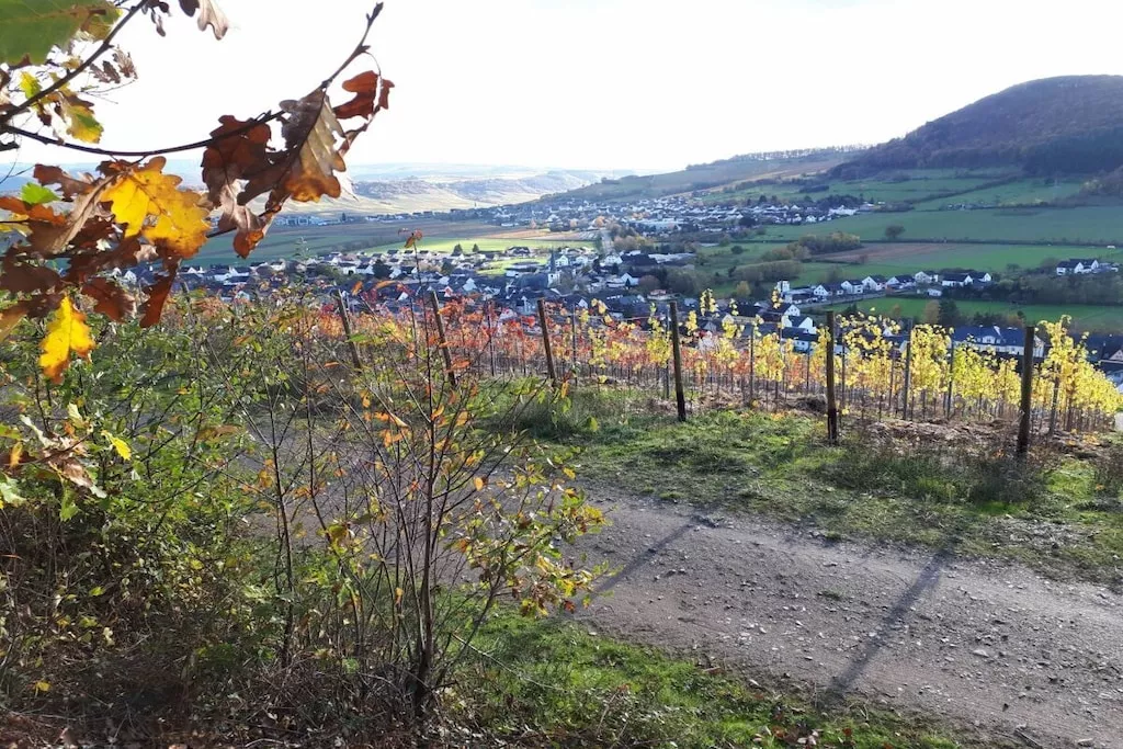 628791-Nicht zugeordnet