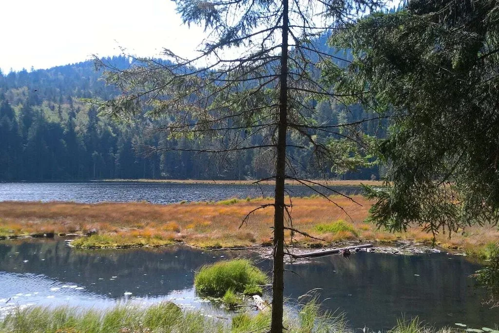 581605-Nicht zugeordnet