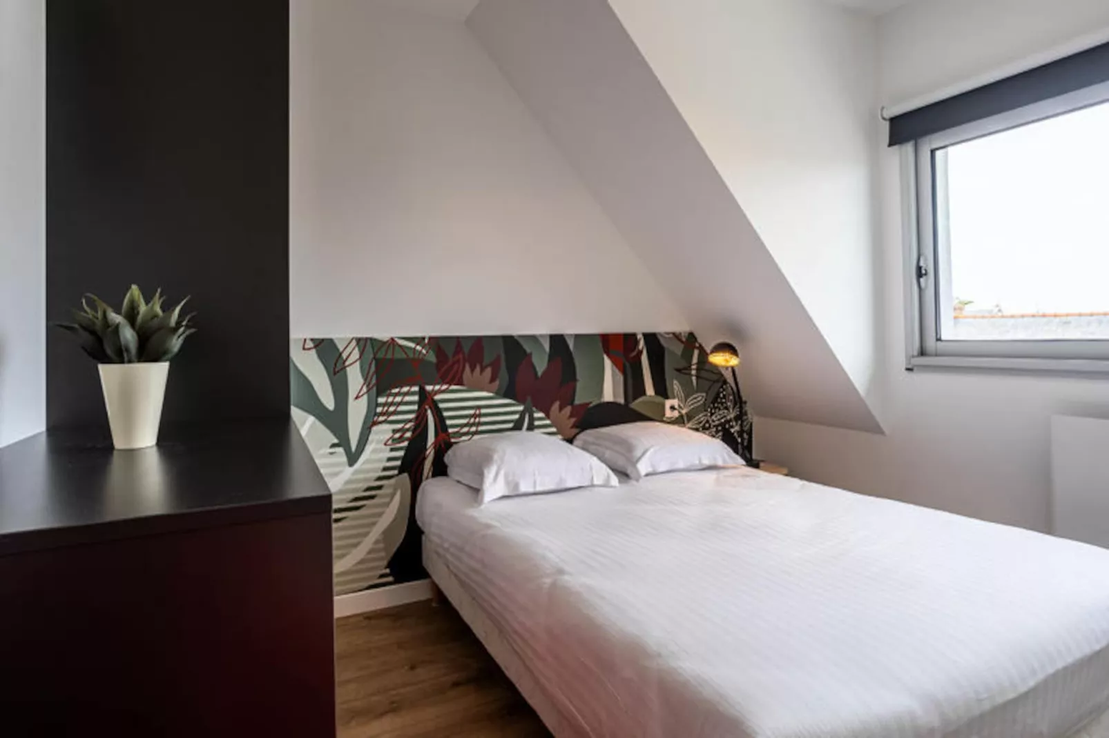 Maison à Perros-Guirec-Image-tags.