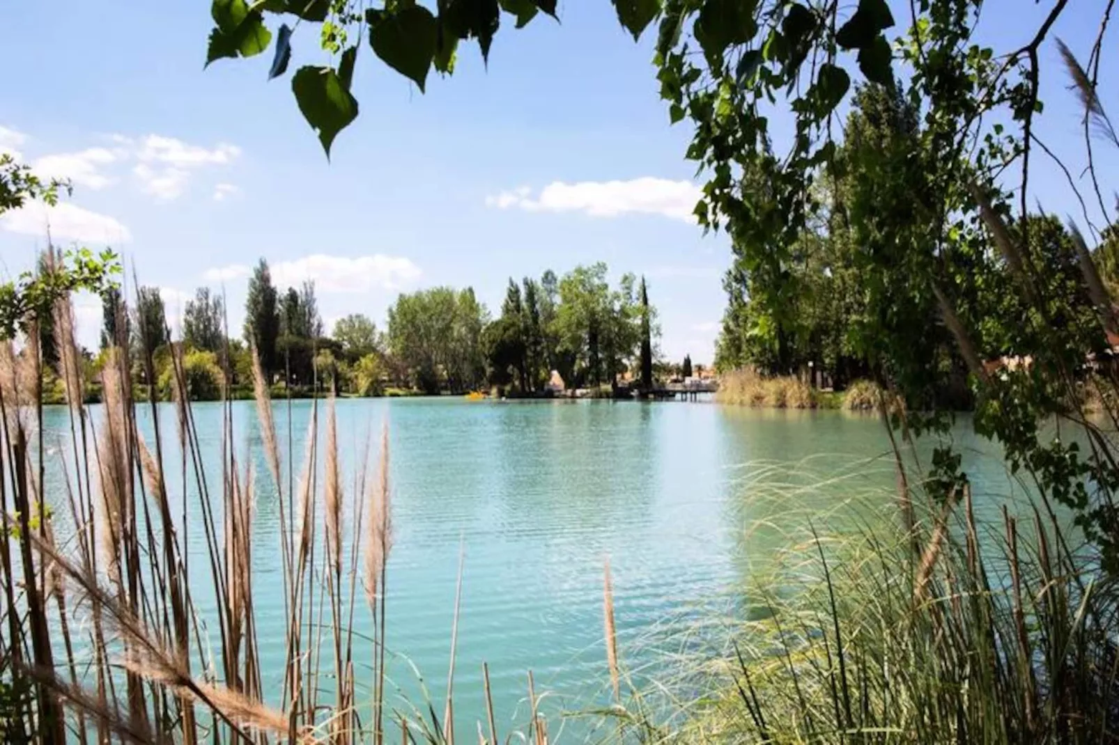 SOWELL HÔTELS L'Olivier****-Image-tags.