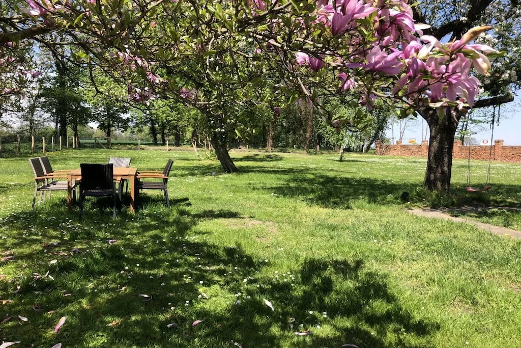 13225-Nicht zugeordnet