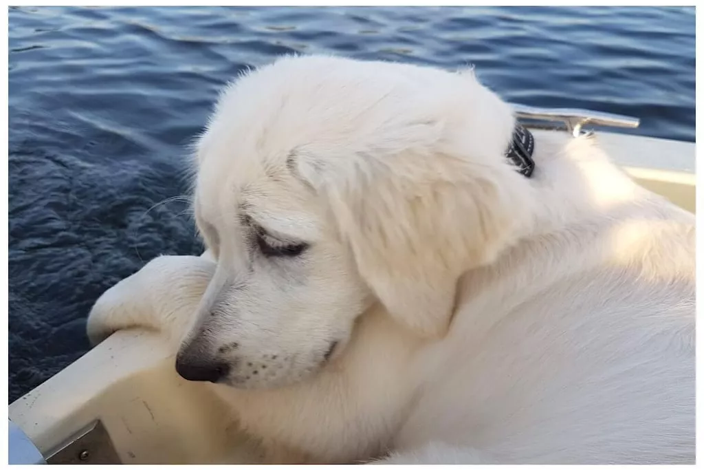 203055-Nicht zugeordnet