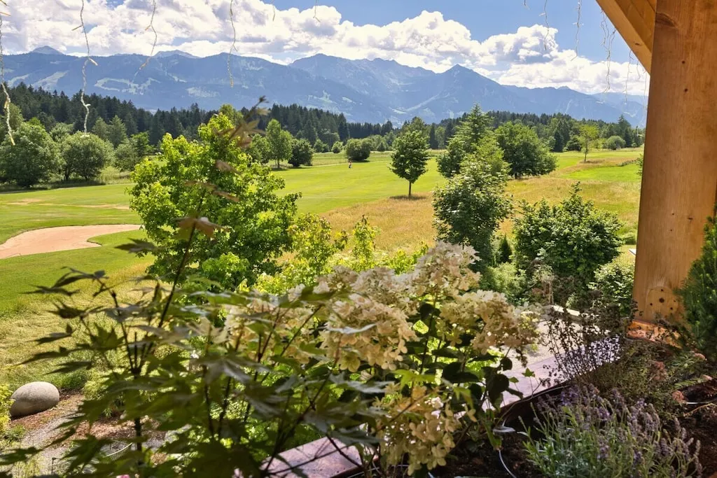 217173-Nicht zugeordnet