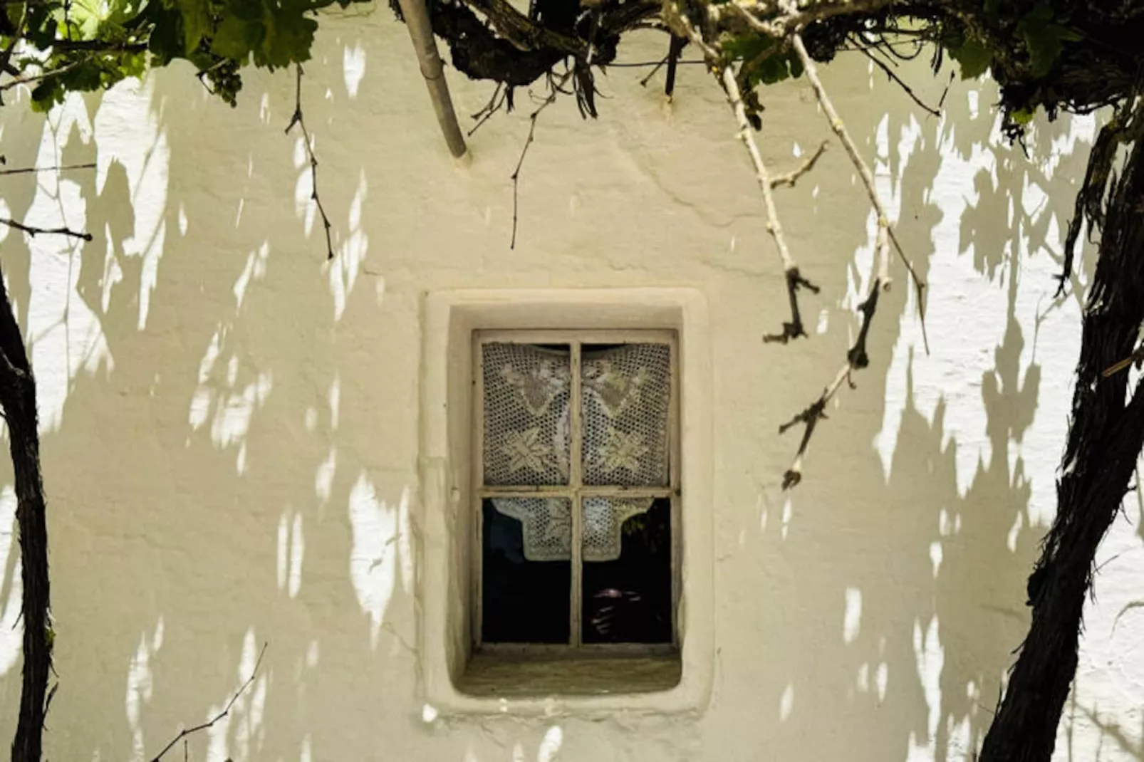 Maison à Mao-Image-tags.