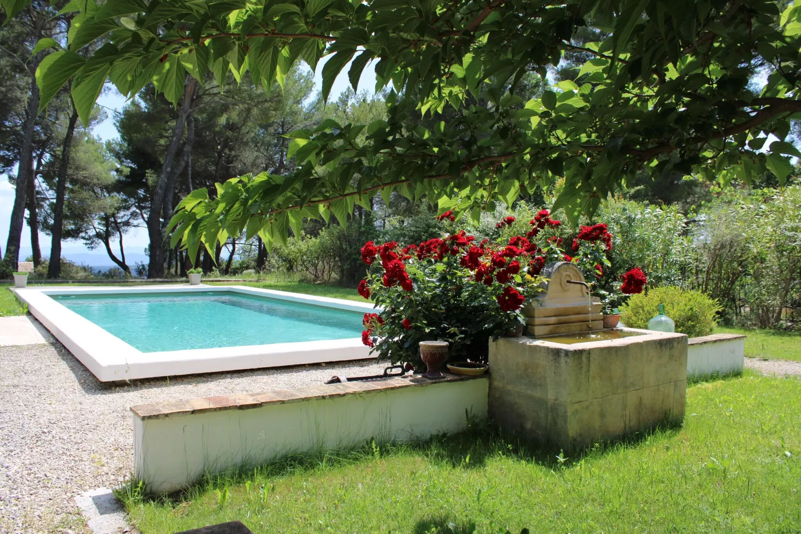 Clos de la colle-Gardens summer