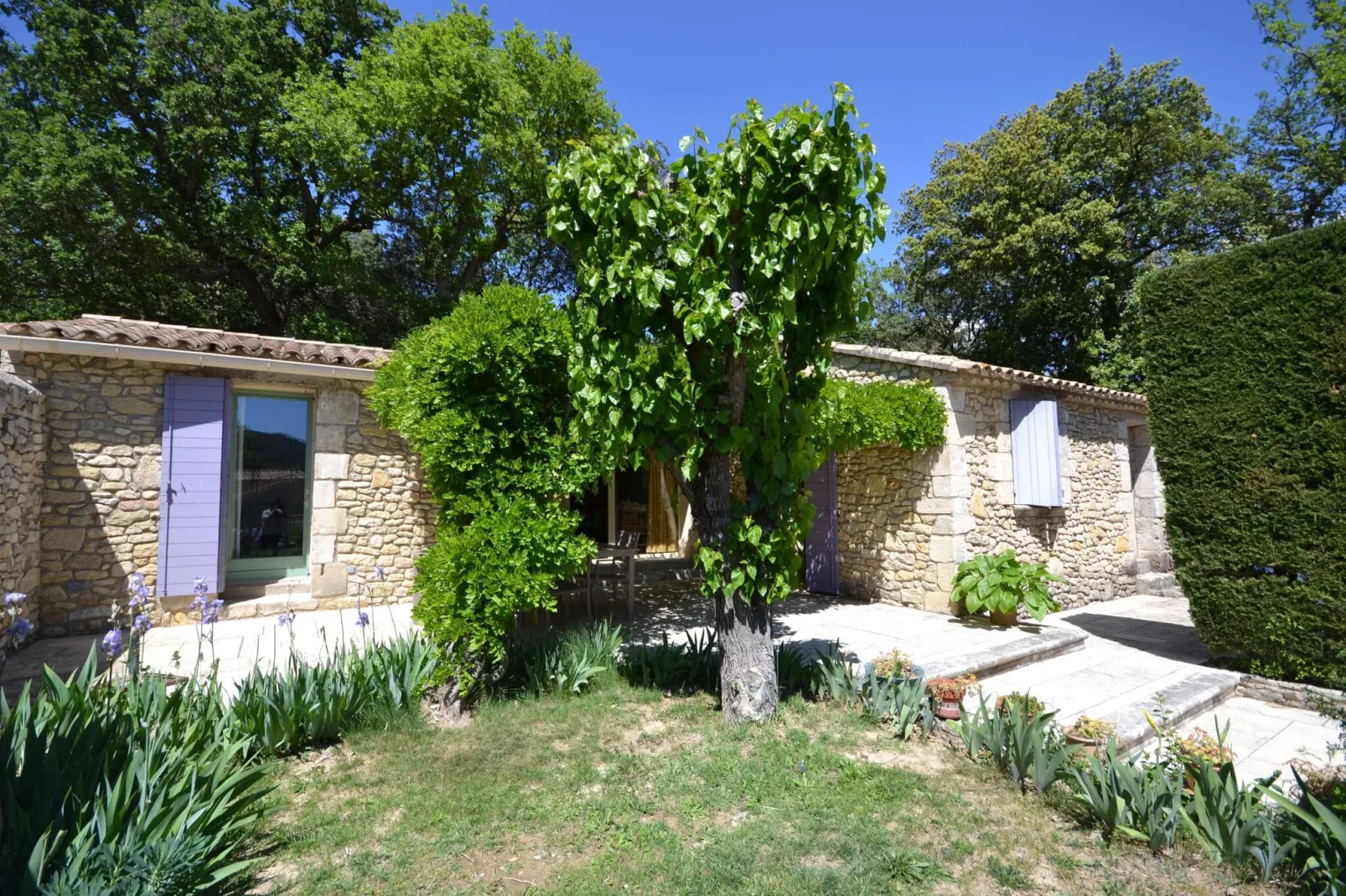 Petite maison-Exterior summer