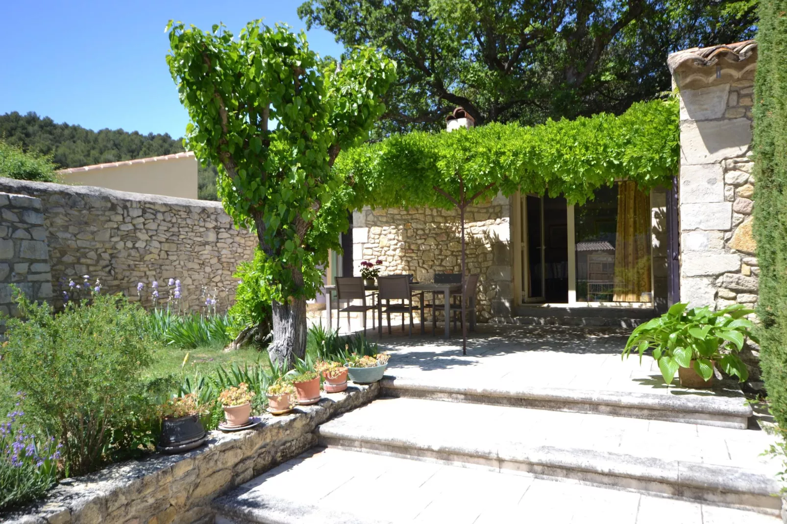 Petite maison-Exterior summer