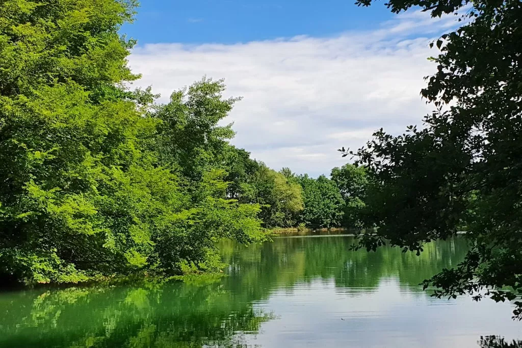 459081-Nicht zugeordnet