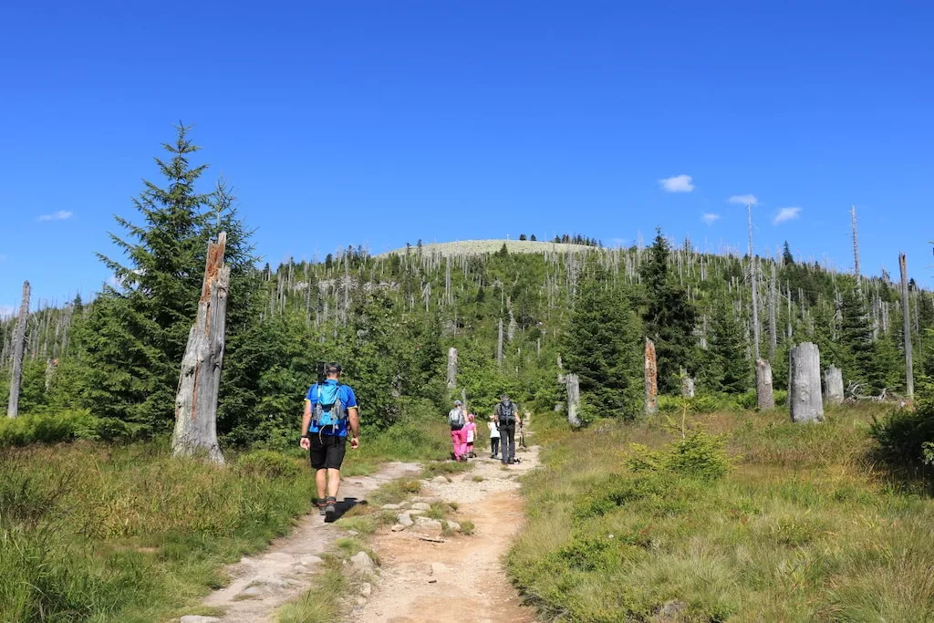 581605-Nicht zugeordnet