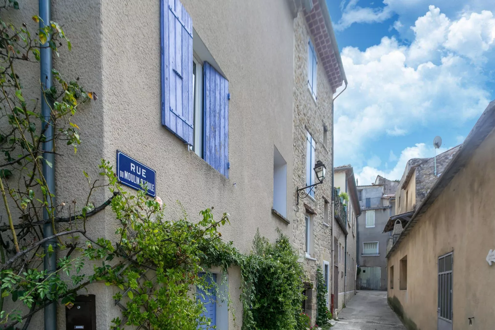 Villa Mont Ventoux-Außenbereich Sommer