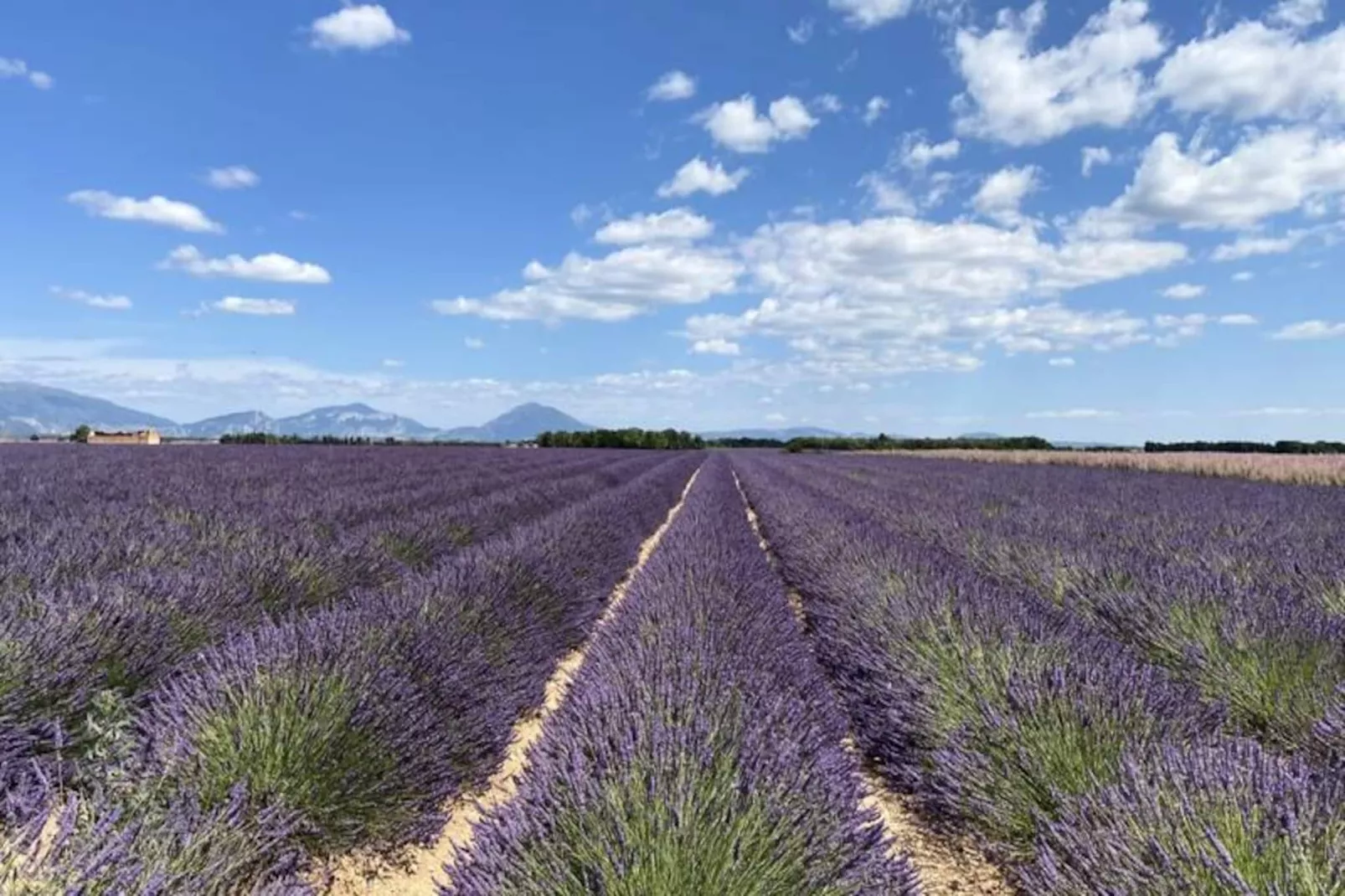 04b2 : Beau Studio Dans Un Mas Proven&ccedil;al - Piscine-Image-tags.