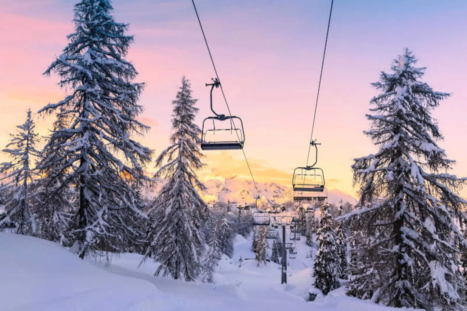 Résidence Chamoisiere-Image-tags.