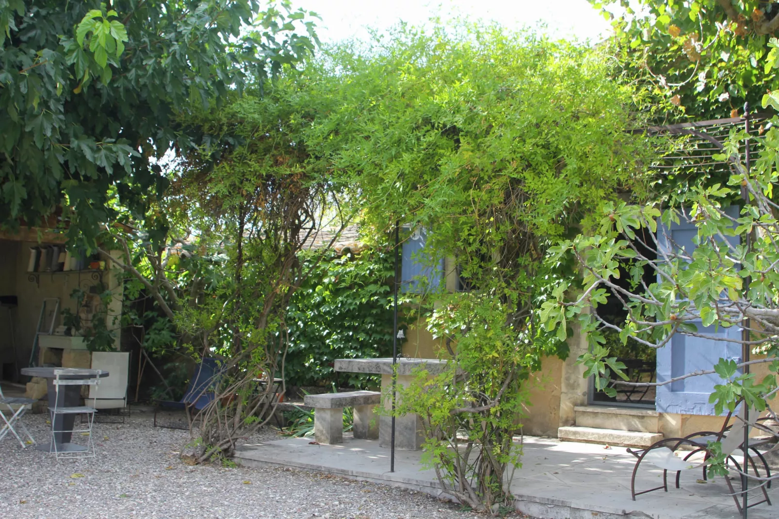 Le Mûrier-Exterior summer